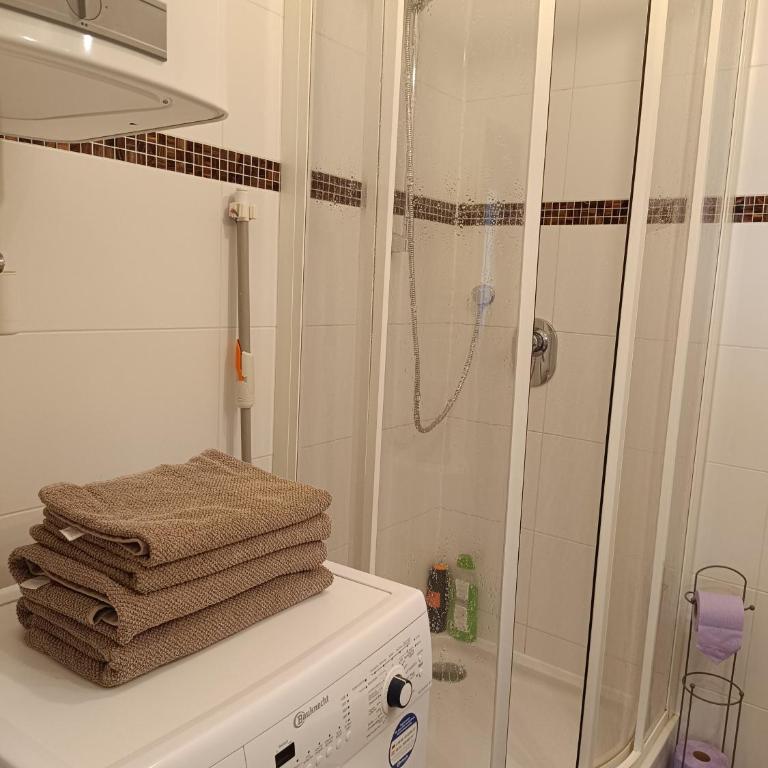 Moderne und schöne Wohnung - Apartment mit 1 Schlafzimmer - 36