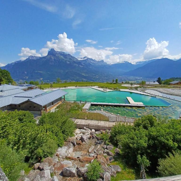 Le GoOfy, Centre, Navettes pistes ski Combloux - Appartement 1 Chambre - 38