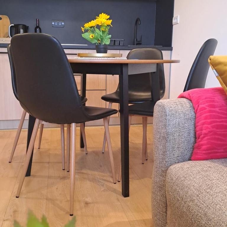 Vila Jahor Apartmani JET SET Lux - Apartman sa 1 Spavaćom Sobom - 3