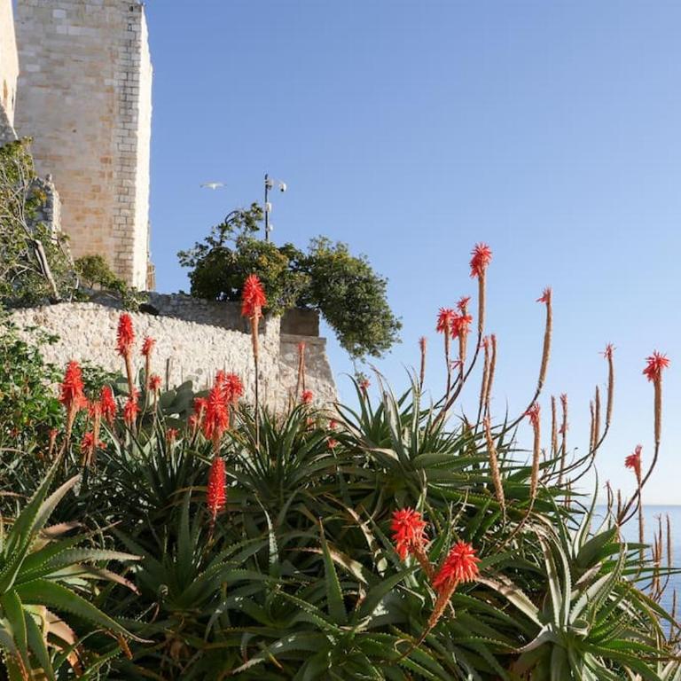 MAISON LA TROPEZIENNE ... NEW • Fabulous 5* Luxe & Terrasse • 6P. Old Town - Maison 3 Chambres - 52