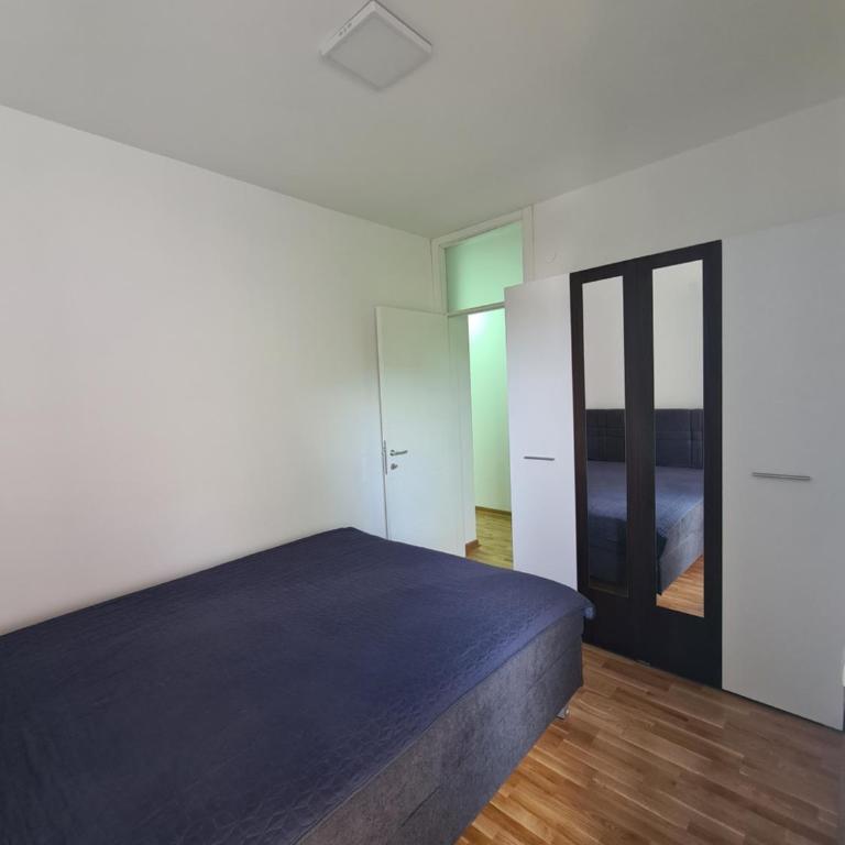 Friend LUX Apartman Beograd - Apartman sa 1 Spavaćom Sobom - 10