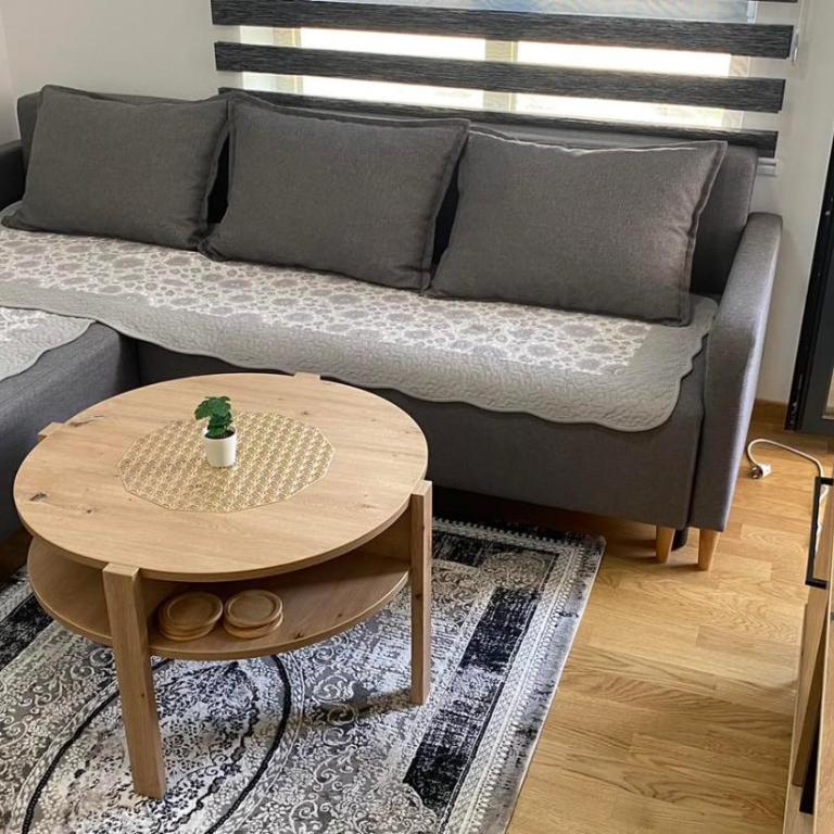 Apartman Ružica Sokobanja - Apartman sa 1 Spavaćom Sobom - 10