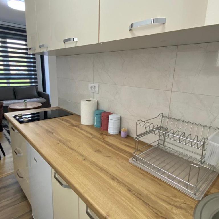 Apartman Ružica Sokobanja - Apartman sa 1 Spavaćom Sobom - 16