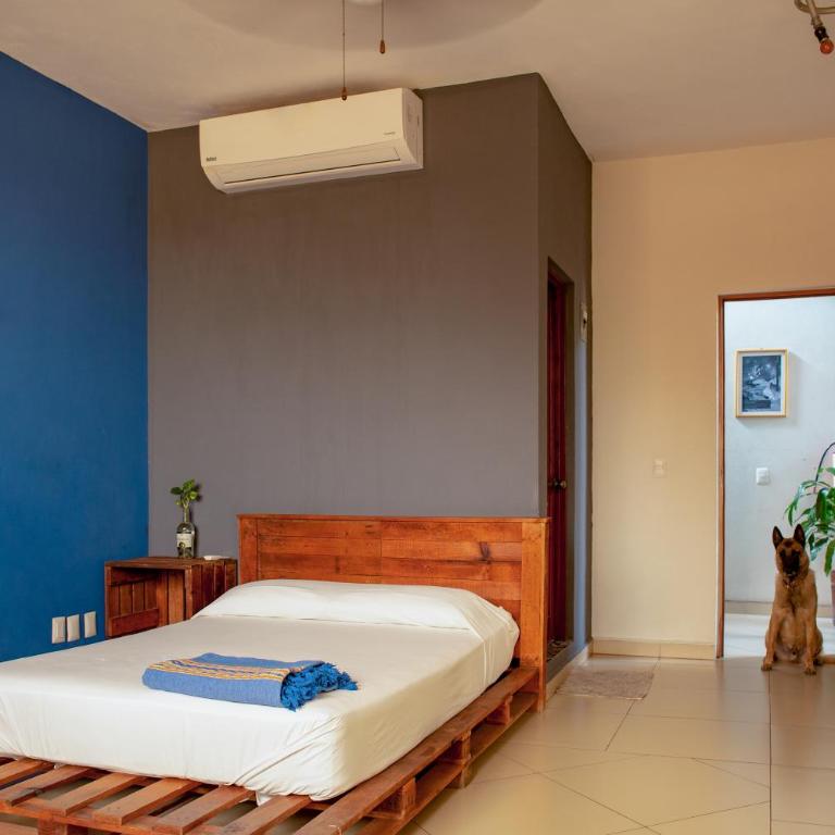 Puerto Dreams H - Habitación Doble Deluxe - 3