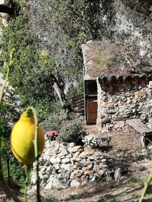 Chalet Zenitude - Chalet 1 Chambre - 26