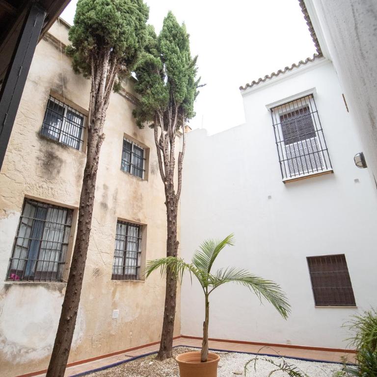 El Anfitrión - Casa Cargadores - Apartamento 9 - Apartamento - 32