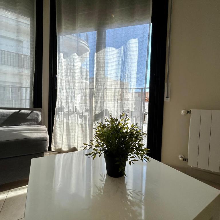 Apartamentos TDM - Apartamento de 2 dormitorios - 10