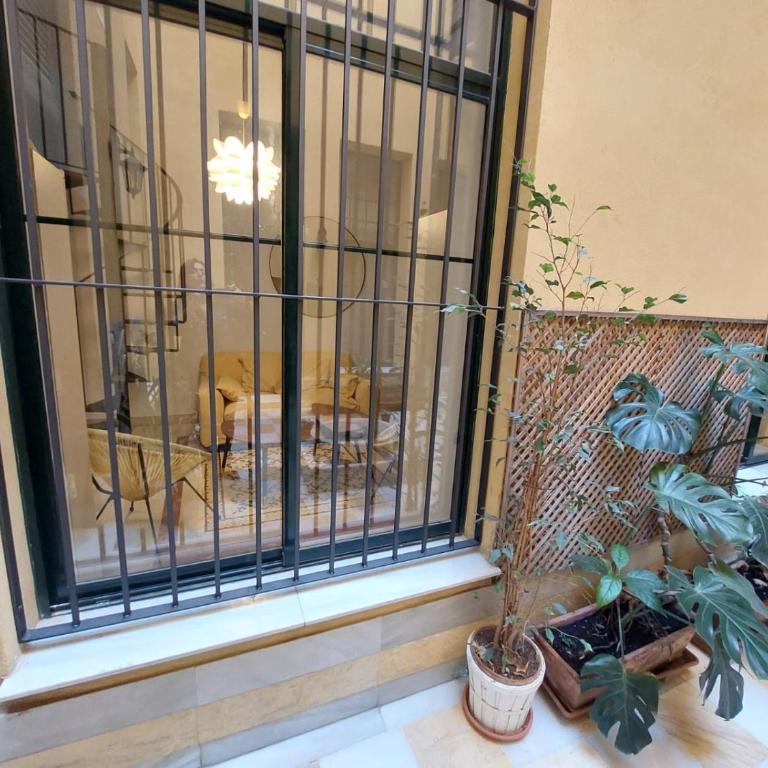 Doña Elvira Alvarez - Apartamento de 1 dormitorio - 28