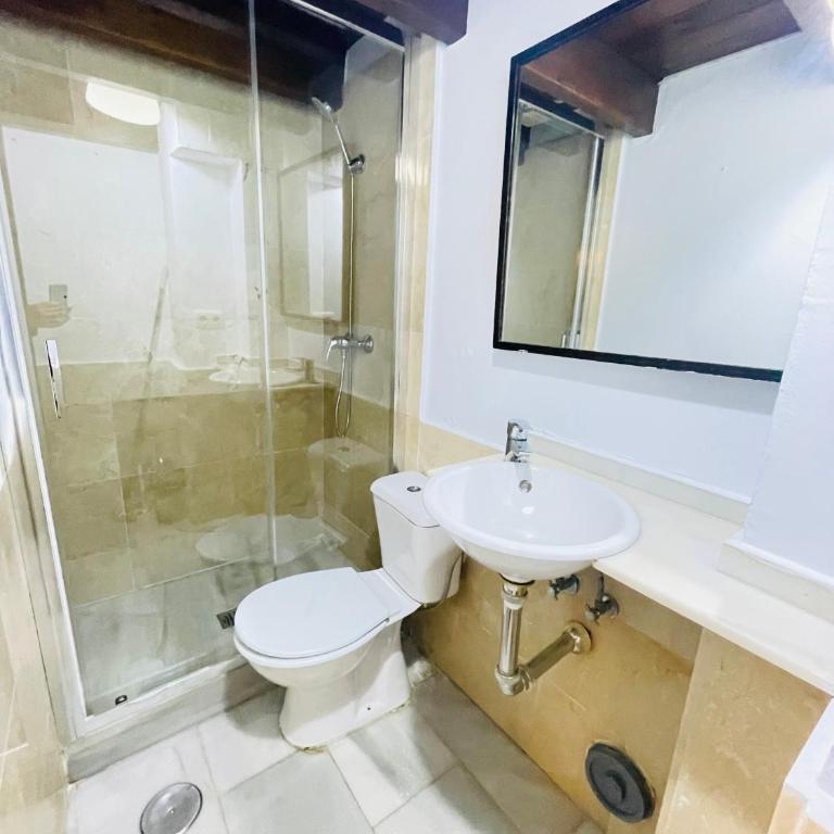 Doña Elvira Alvarez - Apartamento de 1 dormitorio - 24