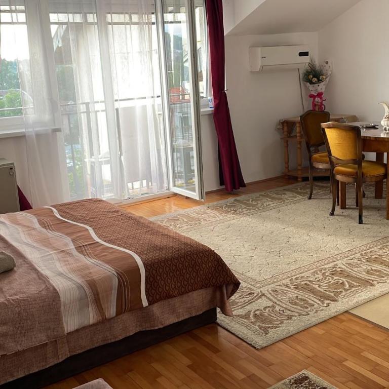 Apartman Andjela - Studio sa Terasom - 3