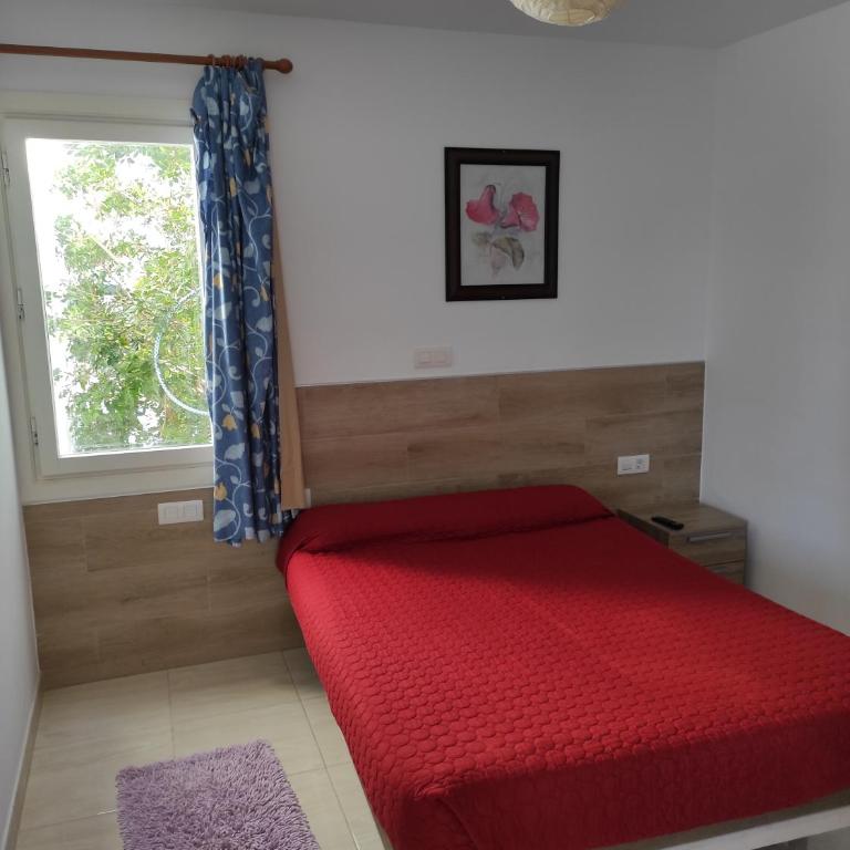 Alojamientos Playa Centro Corralejo 9 - Habitación Doble - 13