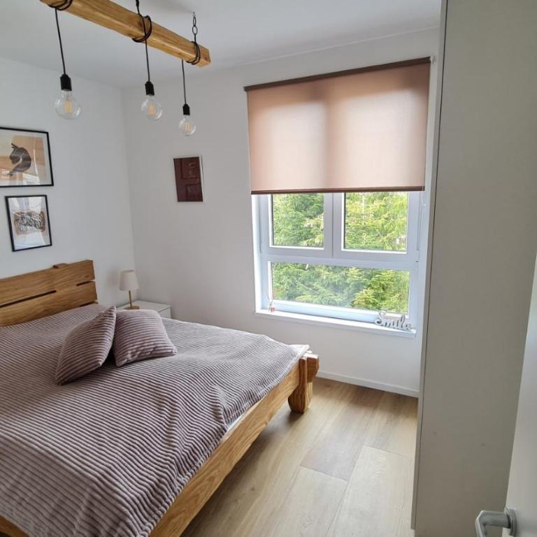 Apartmani Šišarka Jahorina - Apartman sa 1 Spavaćom Sobom - 11