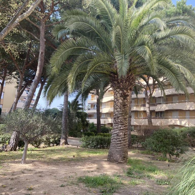 Appartement 2 pièces à Fréjus avec piscine, parking et à 300m des commerces - FR-1-226A-145 - Appartamento - 3