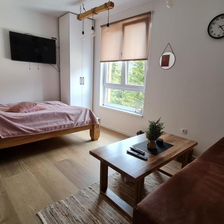 Apartmani Šišarka Jahorina - Standardni Studio - 9
