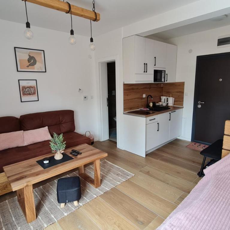 Apartmani Šišarka Jahorina - Standardni Studio - 10