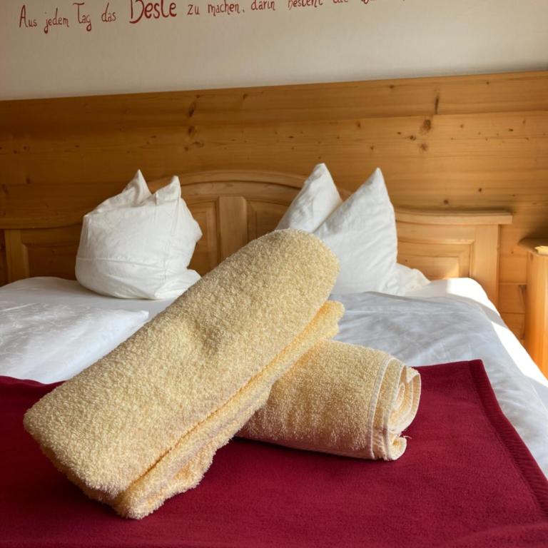 Skirast - Kirchberg - Standard Doppelzimmer - 1