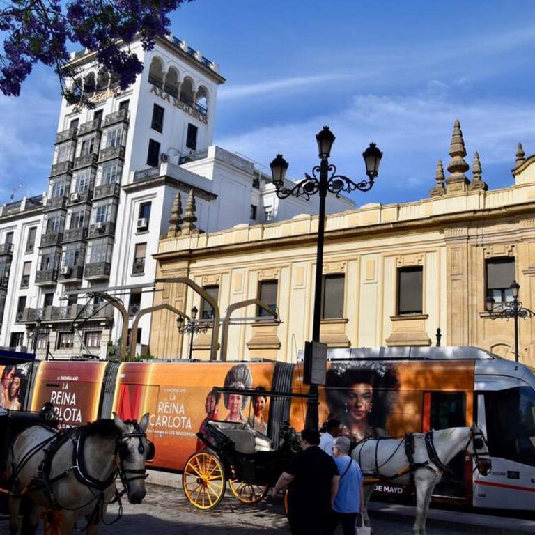 Penthouse in front Giralda - Apartamento de 1 dormitorio - 7