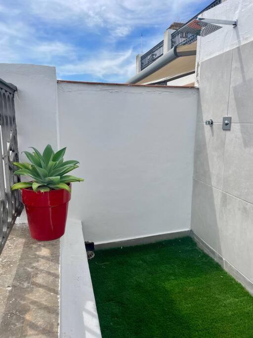 Penthouse in front Giralda - Apartamento de 1 dormitorio - 39
