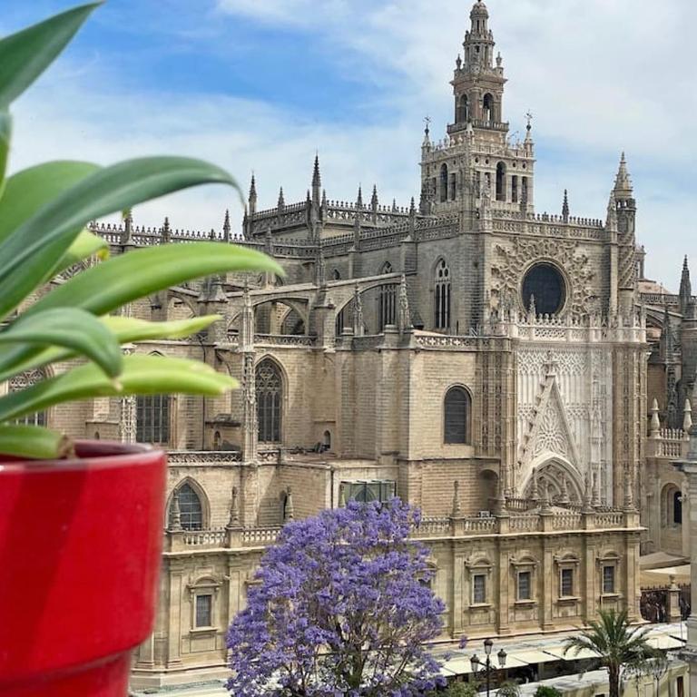 Penthouse in front Giralda - Apartamento de 1 dormitorio - 42