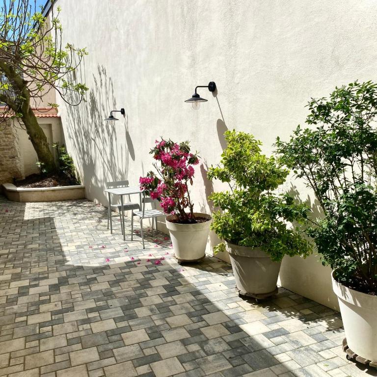 Logement confortable, Nancy Thermal, Parc Ste-Marie - Appartement - Rez-de-Chaussée - 9
