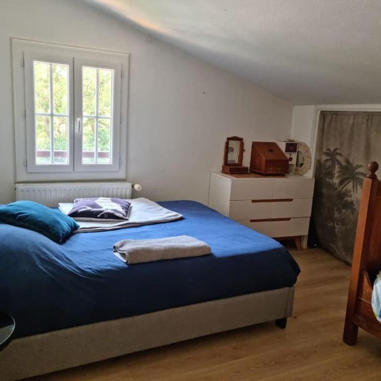 Maison La Basco-Landaise - Villa - 39