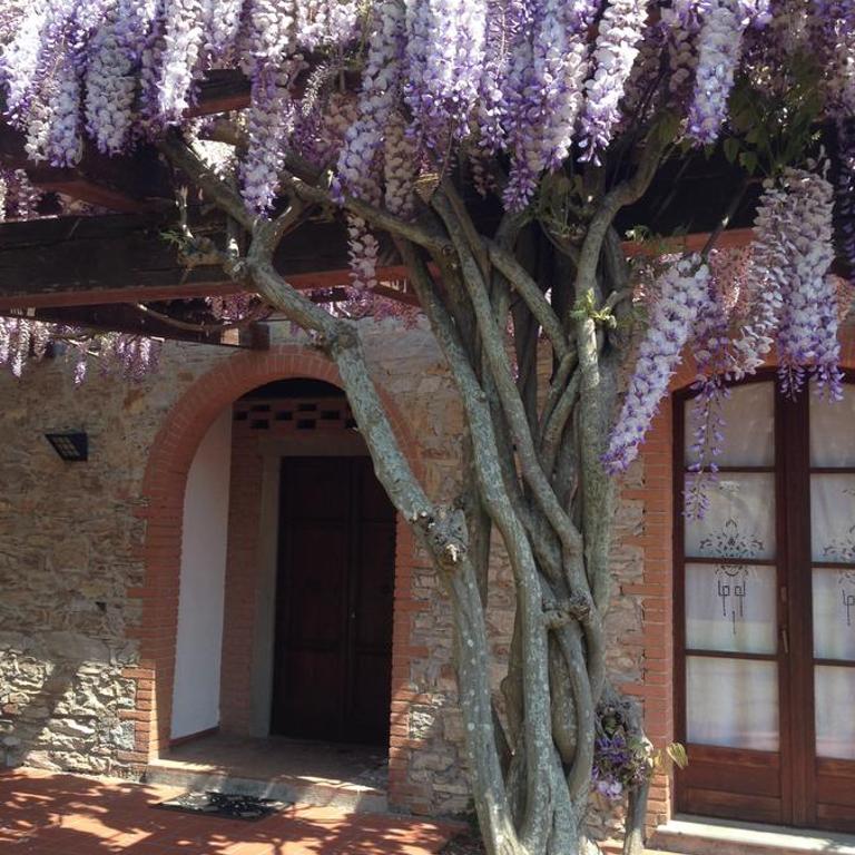 Fattoria Cirene - Appartamento con 2 Camere da Letto e Patio - 6