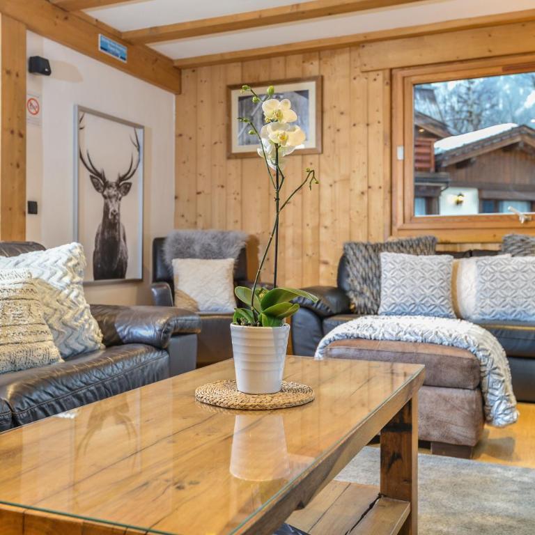 Chalet Chardonnet - Chalet - 30