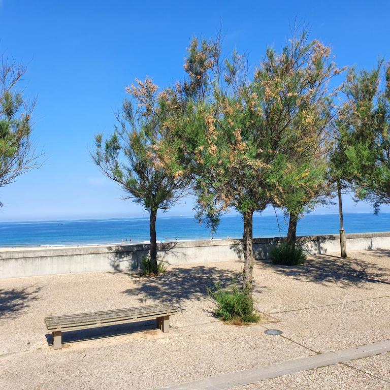 POINT D'OR - L'océan à vos pieds, T1 bis pour 4 personnes - One-Bedroom Apartment - 21