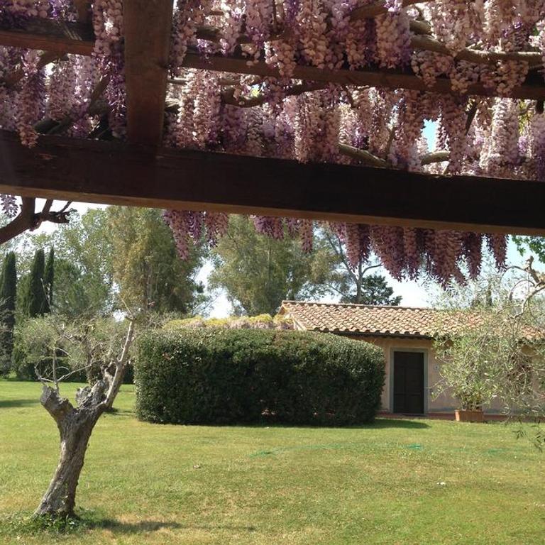 Fattoria Cirene - Appartamento con 2 Camere da Letto e Patio - 5