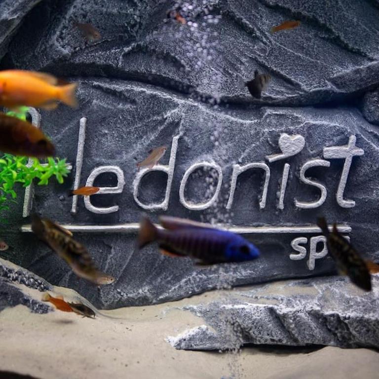 Hedonist-Belgrade Central Nest - Apartman sa 1 Spavaćom Sobom - 21