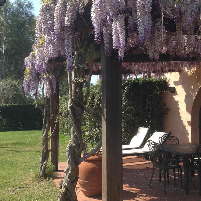 Fattoria Cirene - Appartamento con Vista Piscina - Dependance - 10