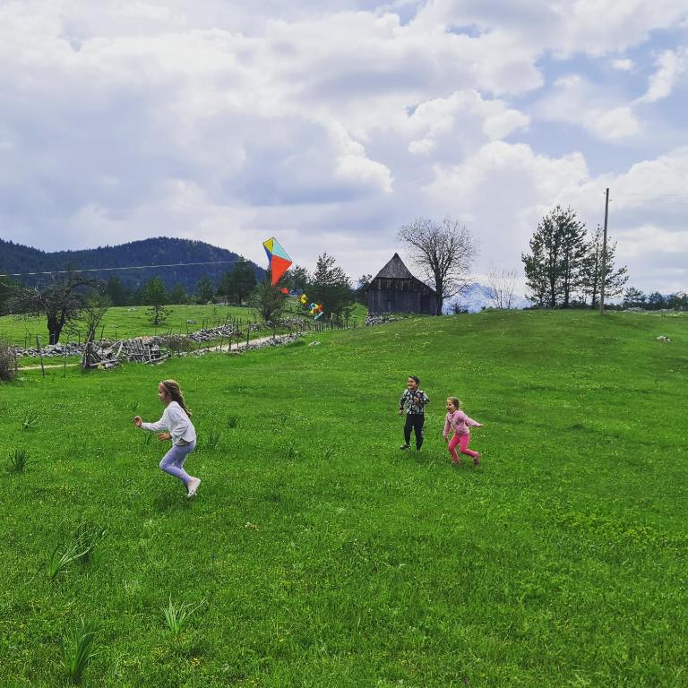 Gorska Vila - Two-Bedroom House - 71