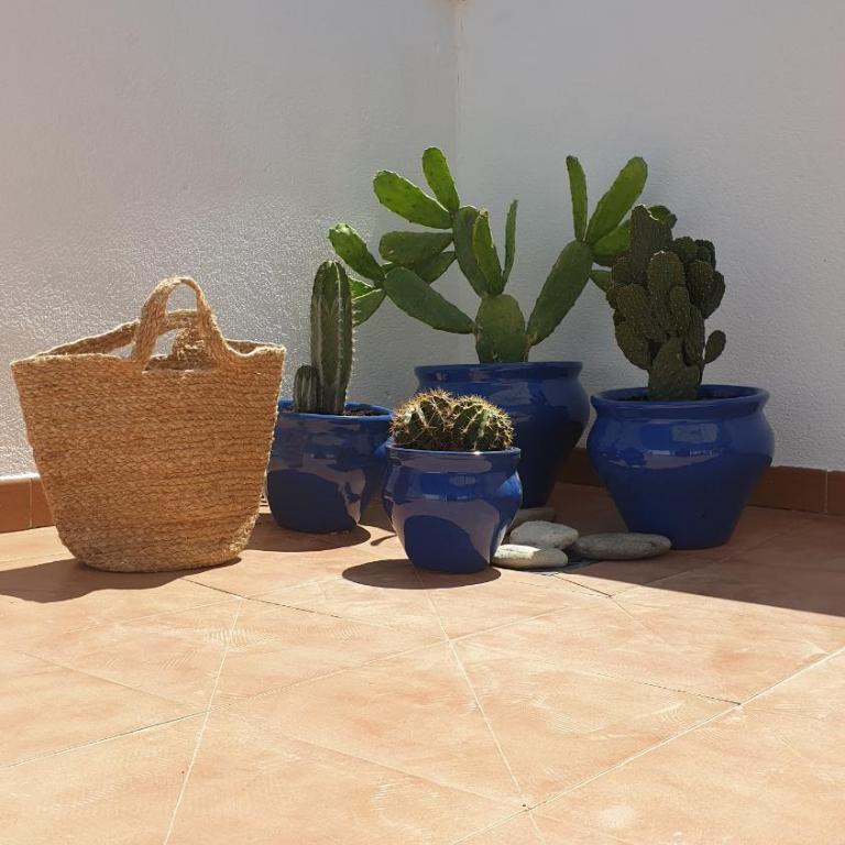 YOGA LAGUNA VERA PLAYA - Apartment mit 2 Schlafzimmern - 2