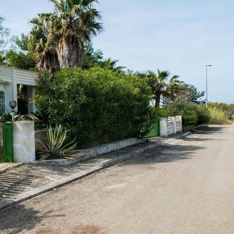 Villa Conca D'oro - Villa con 3 Camere da Letto - 53