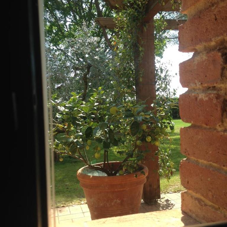 Fattoria Cirene - Appartamento con 2 Camere da Letto - 3