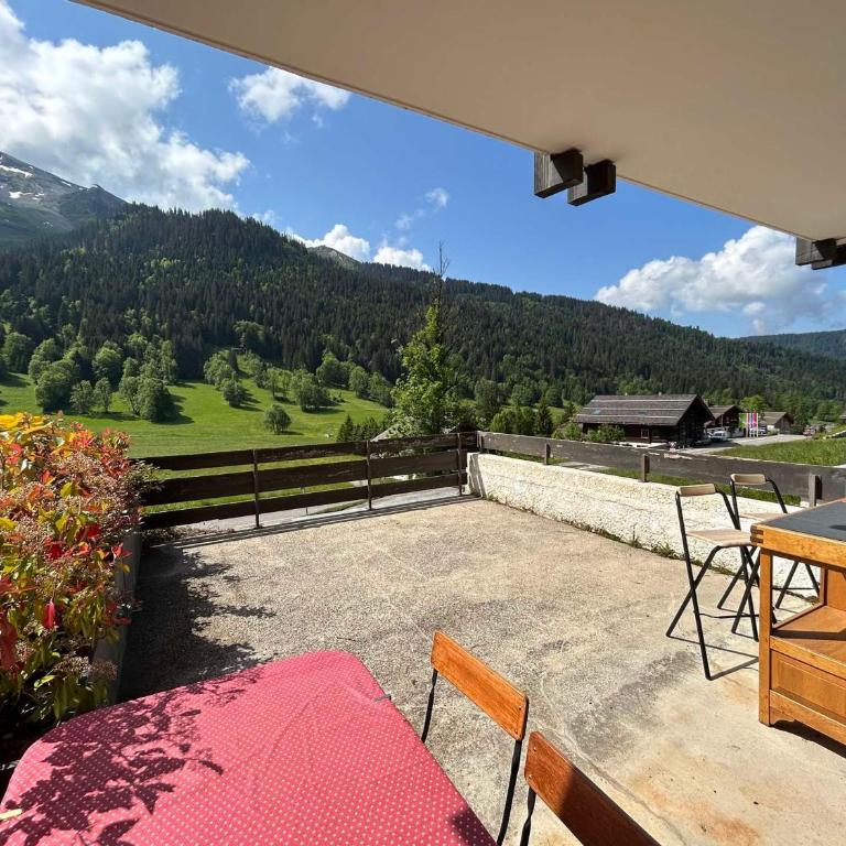 Charmant studio rénové à La Clusaz - 4 pers, terrasse, parking - FR-1-437-102 - Appartamento - 11
