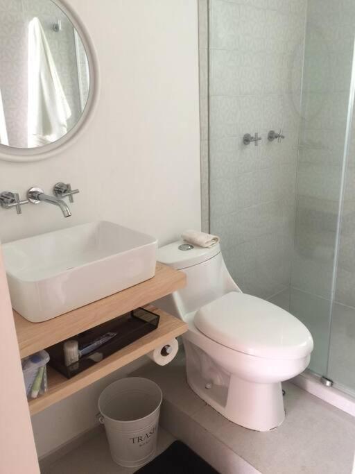 Cozy apartment in Condesa´s heart ! - Apartamento de 2 dormitorios - 6