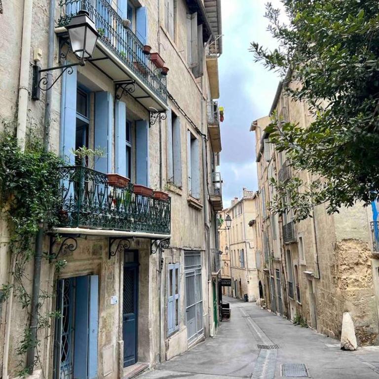 La charmante maison aux volets bleu - Montpellier - Apartment mit 1 Schlafzimmer - 20