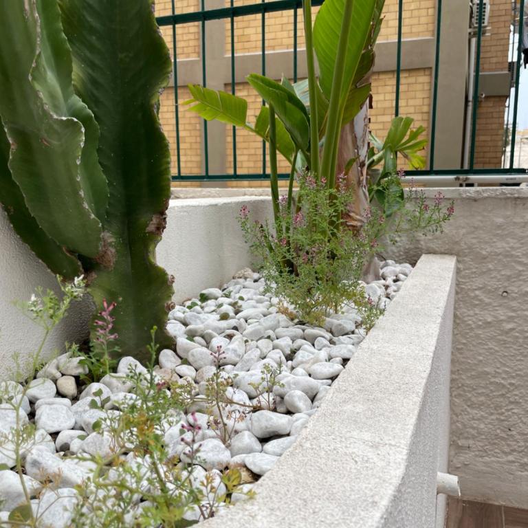 Dusmè - Double Room with Terrace - 25