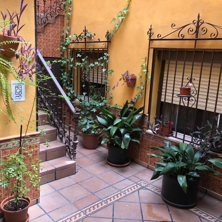 Apartamento estudio de 50m2, todo exterior y con patio, ideal para parejas, familias con niños pequeños y para hospedajes de largas estancias, con techo abuhardillado y una de las mejores vistas de Toledo - Apartamento de 1 dormitorio - 12
