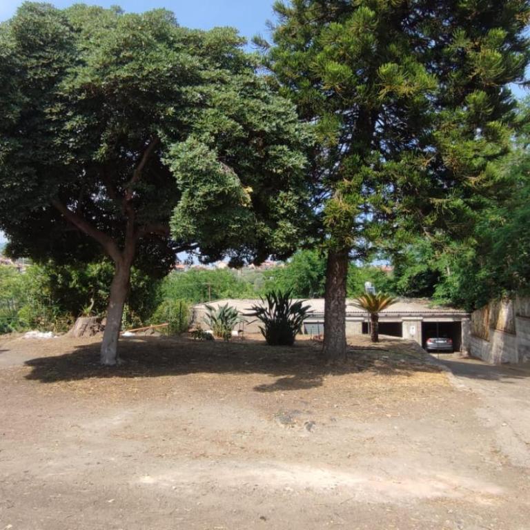 Crystal Green Holidays - One-Bedroom House - 24
