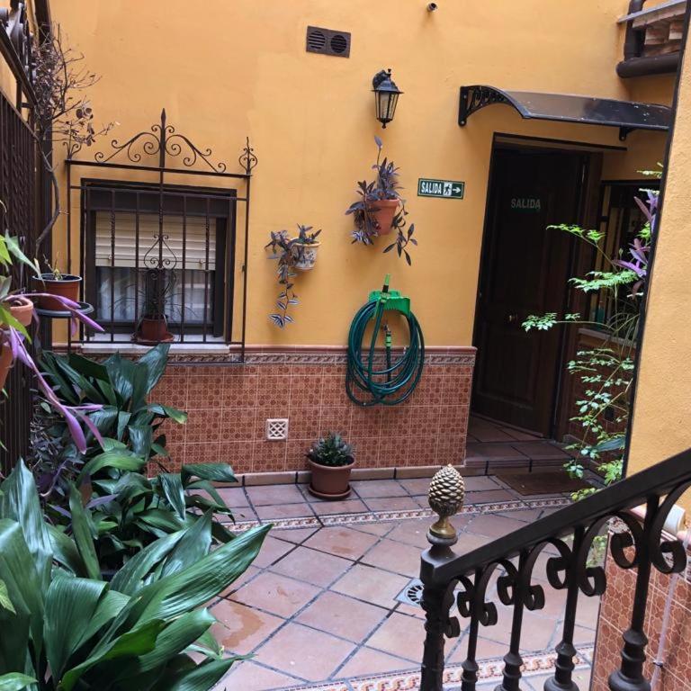 Apartamento tranquilo e ideal para parejas, con bonitas vistas de Toledo y fantàstica ubicación - Apartamento de 1 dormitorio - 11
