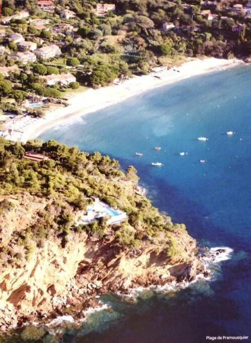 Mazet/ Appartement Le Lavandou - Apartment - 2
