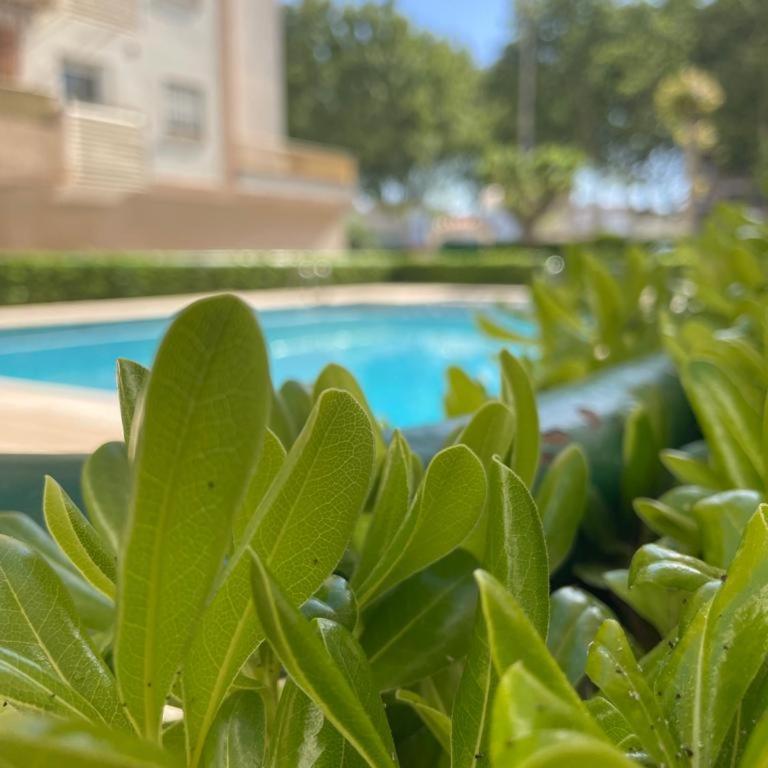 Apartamento Relax Playa Gandía Solo Familias - Apartamento de 3 dormitorios - 22