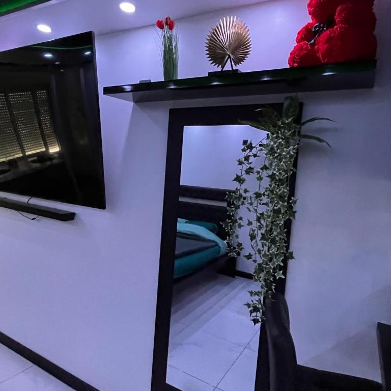 C12 Deluxe - Apartamento Deluxe - 52