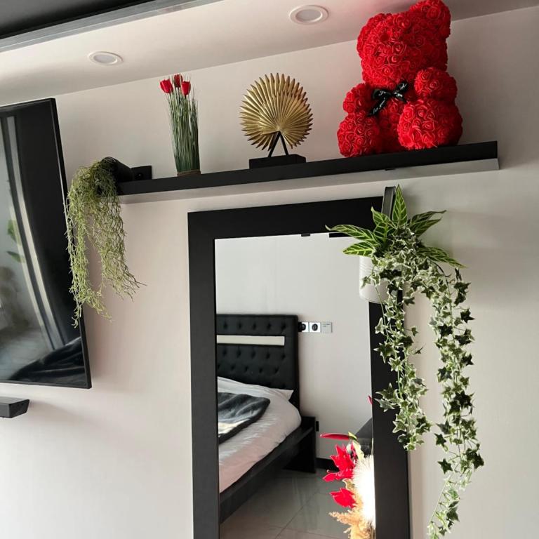 C12 Deluxe - Apartamento Deluxe - 58
