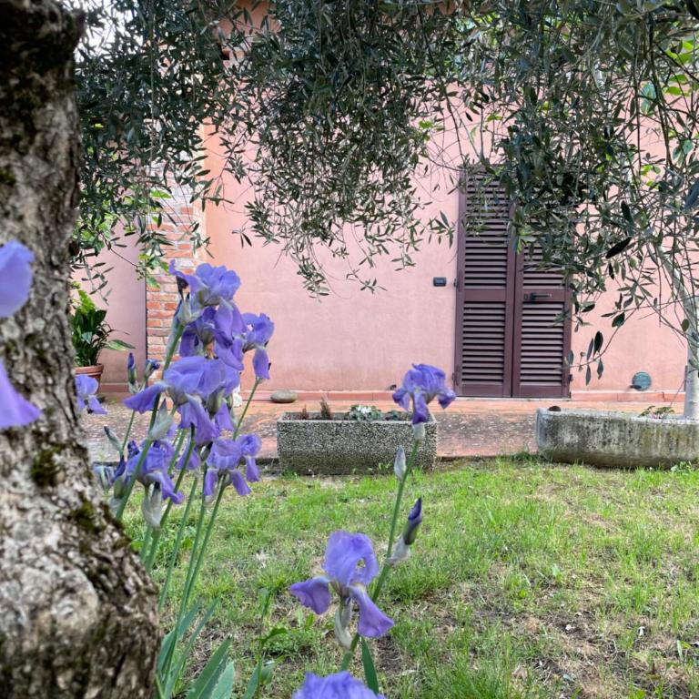 Agriturismo La Collina - Appartamento su 2 Livelli con 2 Camere da Letto - 6
