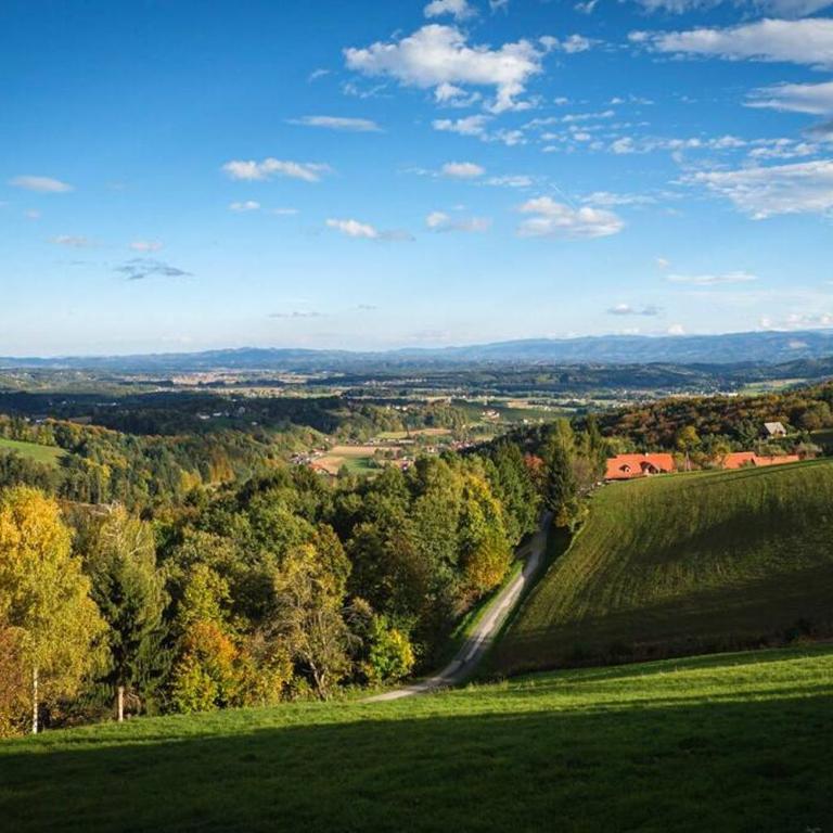 Chalet-Südsteiermark - traumhafte Aussicht, Infinity Pool, Privatsphäre, Klima und de-luxe Ausstattung - Chalet mit 2 Schlafzimmern - 24