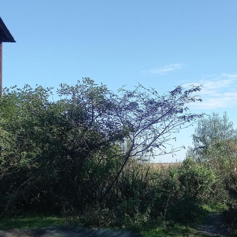 Cabaña Mburucuya - Casa de 2 dormitorios - 19