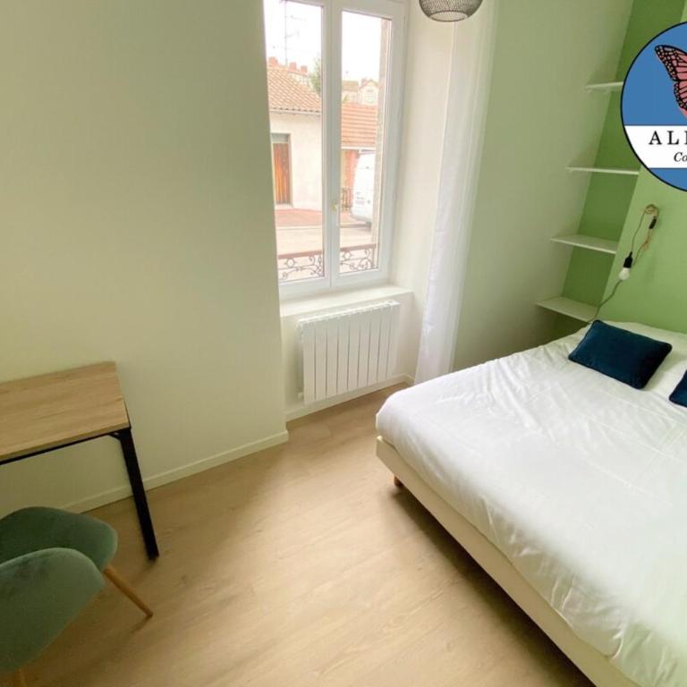 Le Monet, spacieux avec terrasse et parking - Appartement - 15